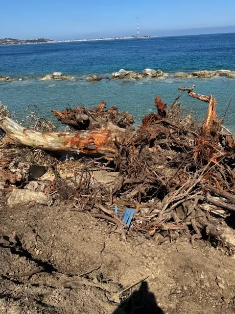 Cannitello, «sparita la sabbia»: il Comitato incalza le istituzioni\n