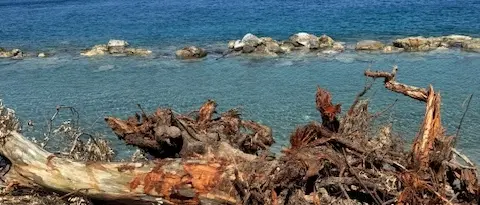 Cannitello, «sparita la sabbia»: il Comitato incalza le istituzioni\n