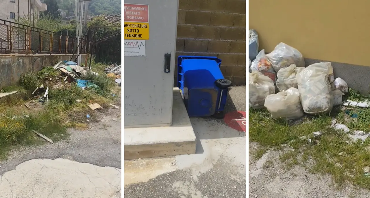 <p>Vibo Marina, scuola ancora preda del degrado nonostante gli interventi di sanificazione. Un genitore: <span style=\"color:hsl(0, 75%, 60%);\">«Topi anche negli armadietti»</span></p>