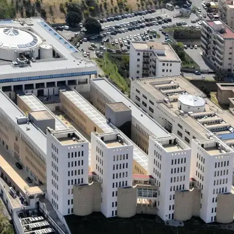 Reggio Calabria al centro della neuroscienza europea: la “Mediterranea” apre nuove frontiere nel contrasto alla demenza\n