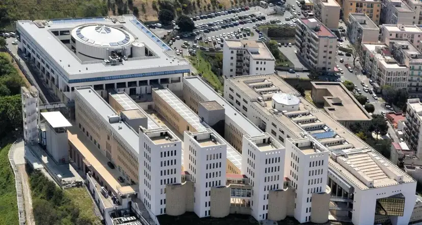 Reggio Calabria al centro della neuroscienza europea: la “Mediterranea” apre nuove frontiere nel contrasto alla demenza\n