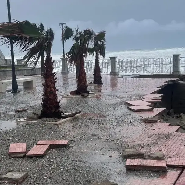<p>Maltempo in Calabria, al via le domande per le <span style=\"color:hsl(0, 75%, 60%);\">misure di sostegno</span> alle imprese: ecco come funziona</p>
