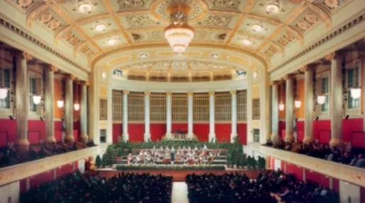 L'Orchestra Giovanile di Laureana di Borrello al The World Orchestra Festival di Vienna\n