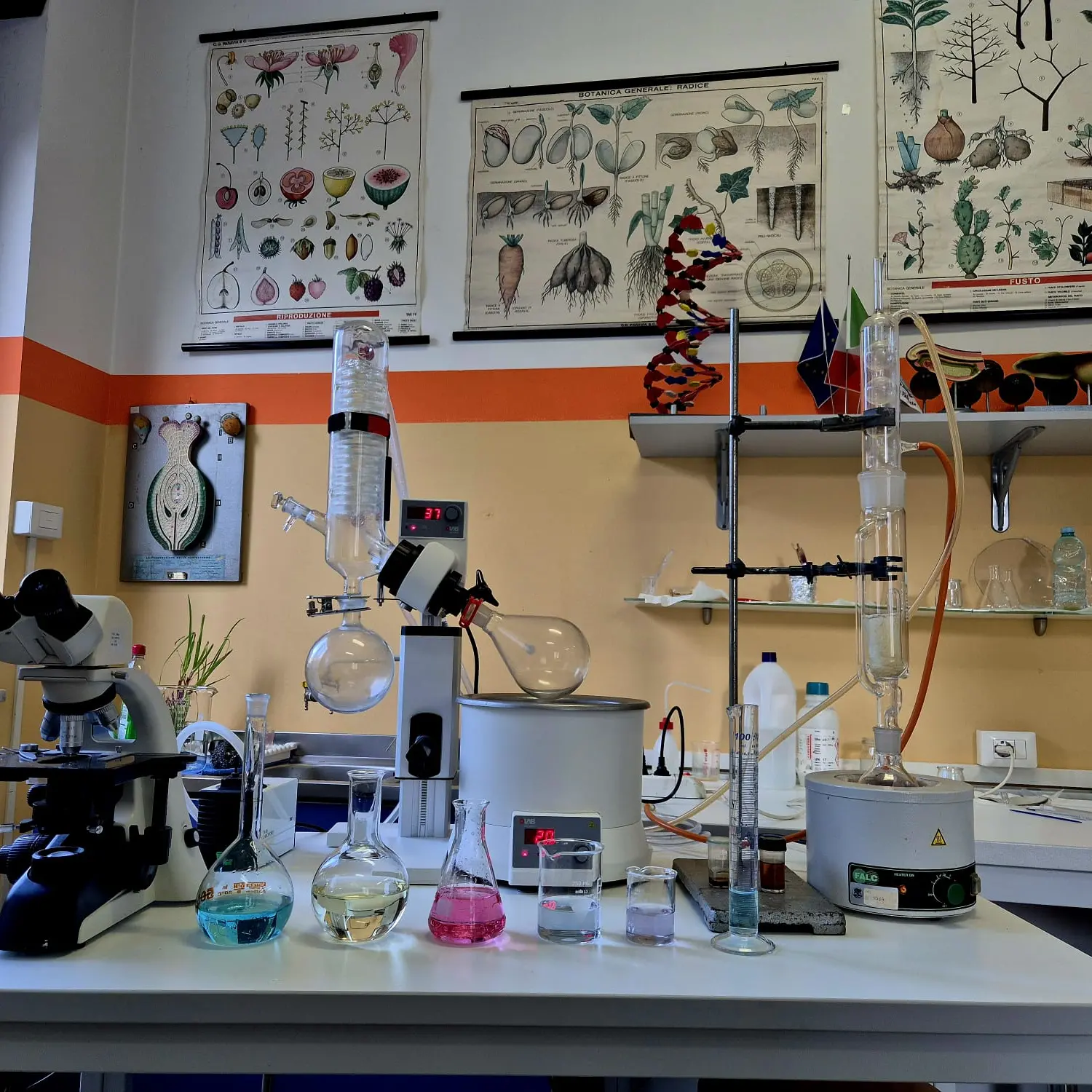 Vibo,\u00A0al Liceo Berto torna il Festival delle Scienze: al centro l’intelligenza artificiale generativa\n