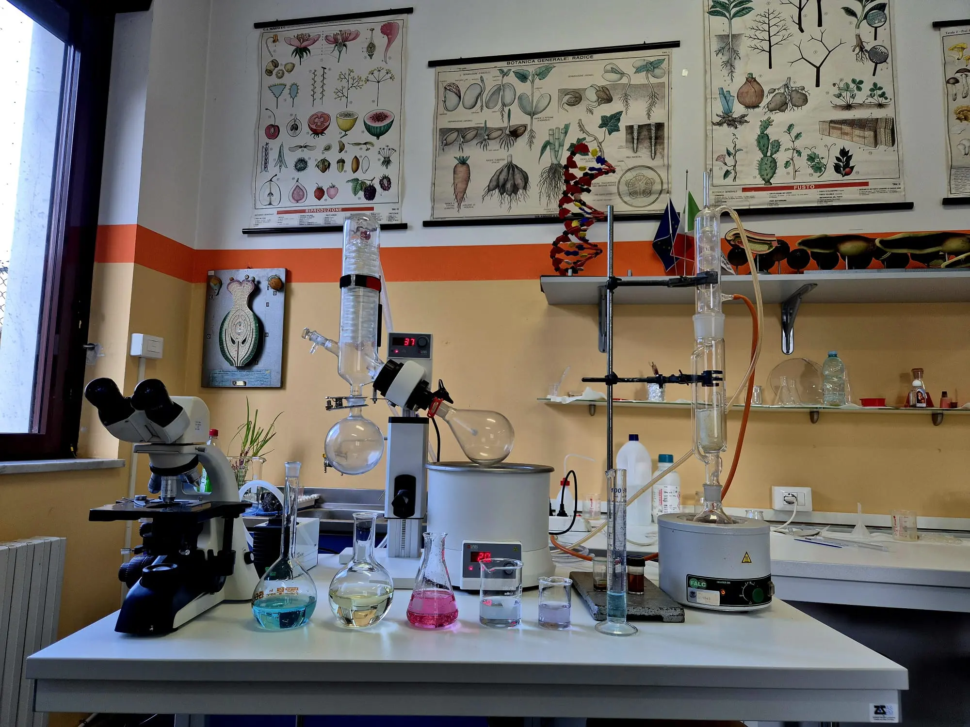 Vibo,\u00A0al Liceo Berto torna il Festival delle Scienze: al centro l’intelligenza artificiale generativa\n