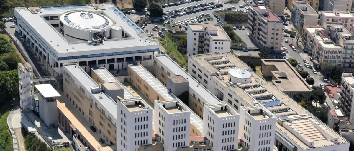 L’Università Mediterranea celebra la Giornata Nazionale del Made in Italy: focus su etica, legalità e resilienza del territorio\n