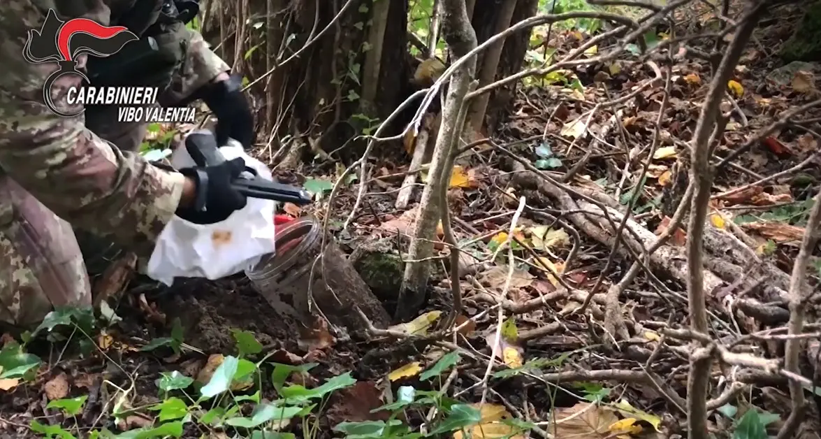 ‘Ndrangheta nel Vibonese e omicidio Ceravolo: i NOMI degli arrestati e l’elenco degli indagati\n