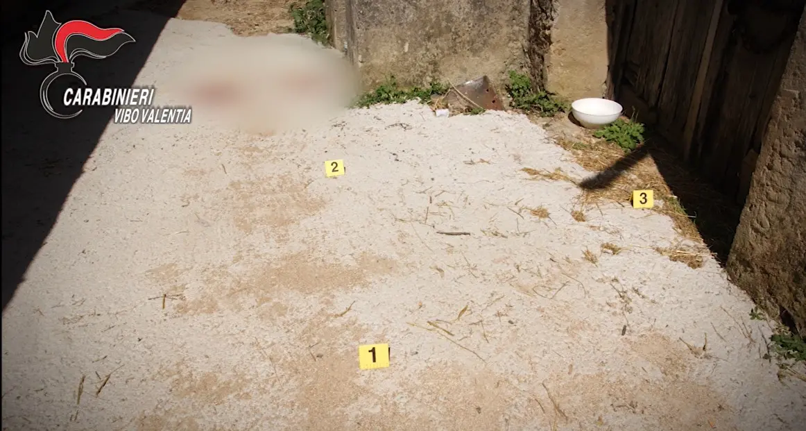 <p>Guerra di ‘ndrangheta nelle Preserre e omicidio di Filippo Ceravolo: ecco <span style=\"color:hsl(0, 75%, 60%);\">i NOMI</span> di indagati e arrestati</p>