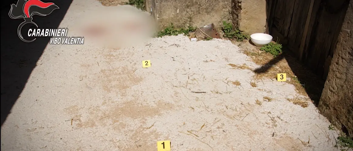 Guerra di ‘ndrangheta nelle Preserre e omicidio di Filippo Ceravolo: ecco i NOMI di indagati e\u00A0arrestati\n