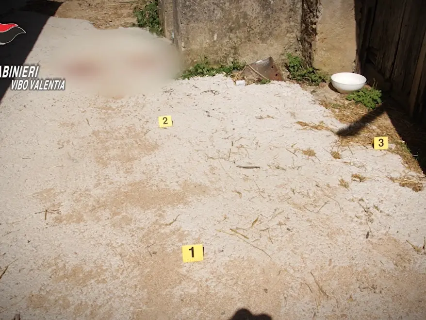 Guerra di ‘ndrangheta nelle Preserre e omicidio di Filippo Ceravolo: ecco i NOMI di indagati e arrestati