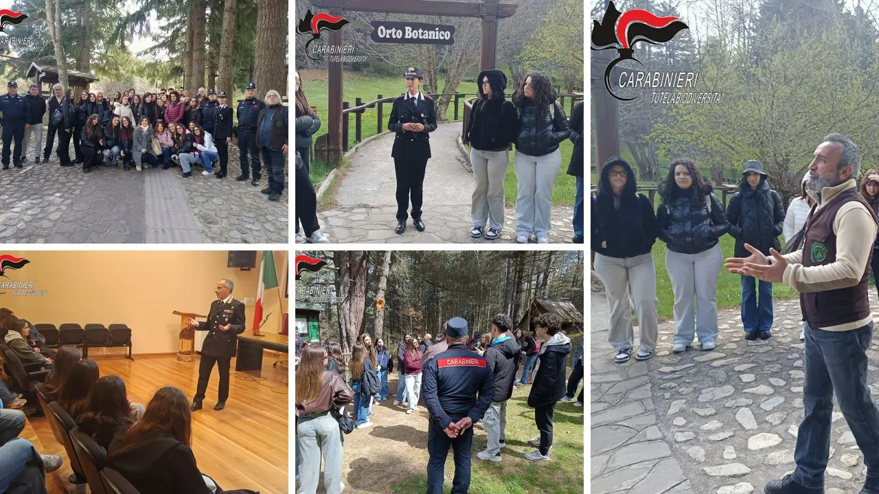 Spezzano Sila, celebrata la giornata nazionale del “Made in Italy”\n