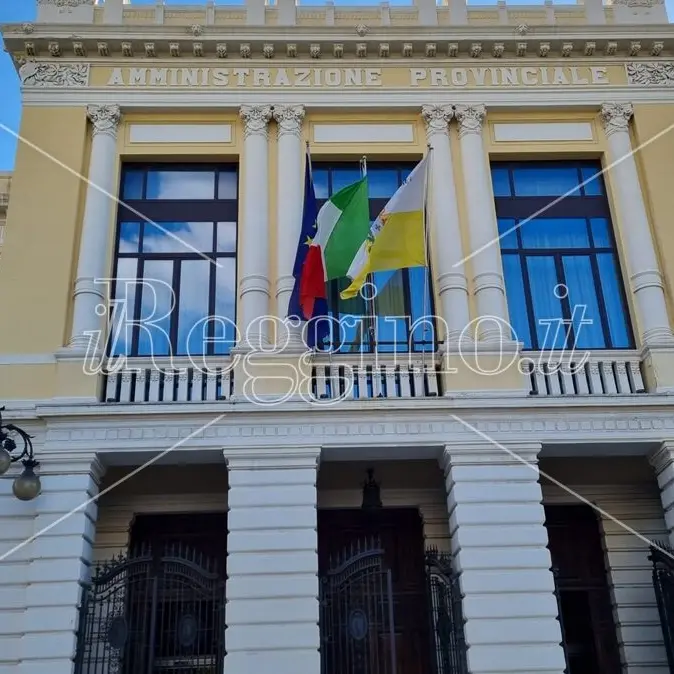 Rischio sismico in Calabria, confronto tra esperti a Palazzo Alvaro\n