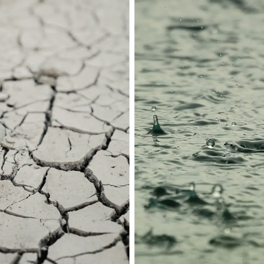 <p>Il 2025 in Calabria anno siccitoso e tra i più caldi, ma il 2026 inverte la tendenza: il report dell’Arpacal</p>