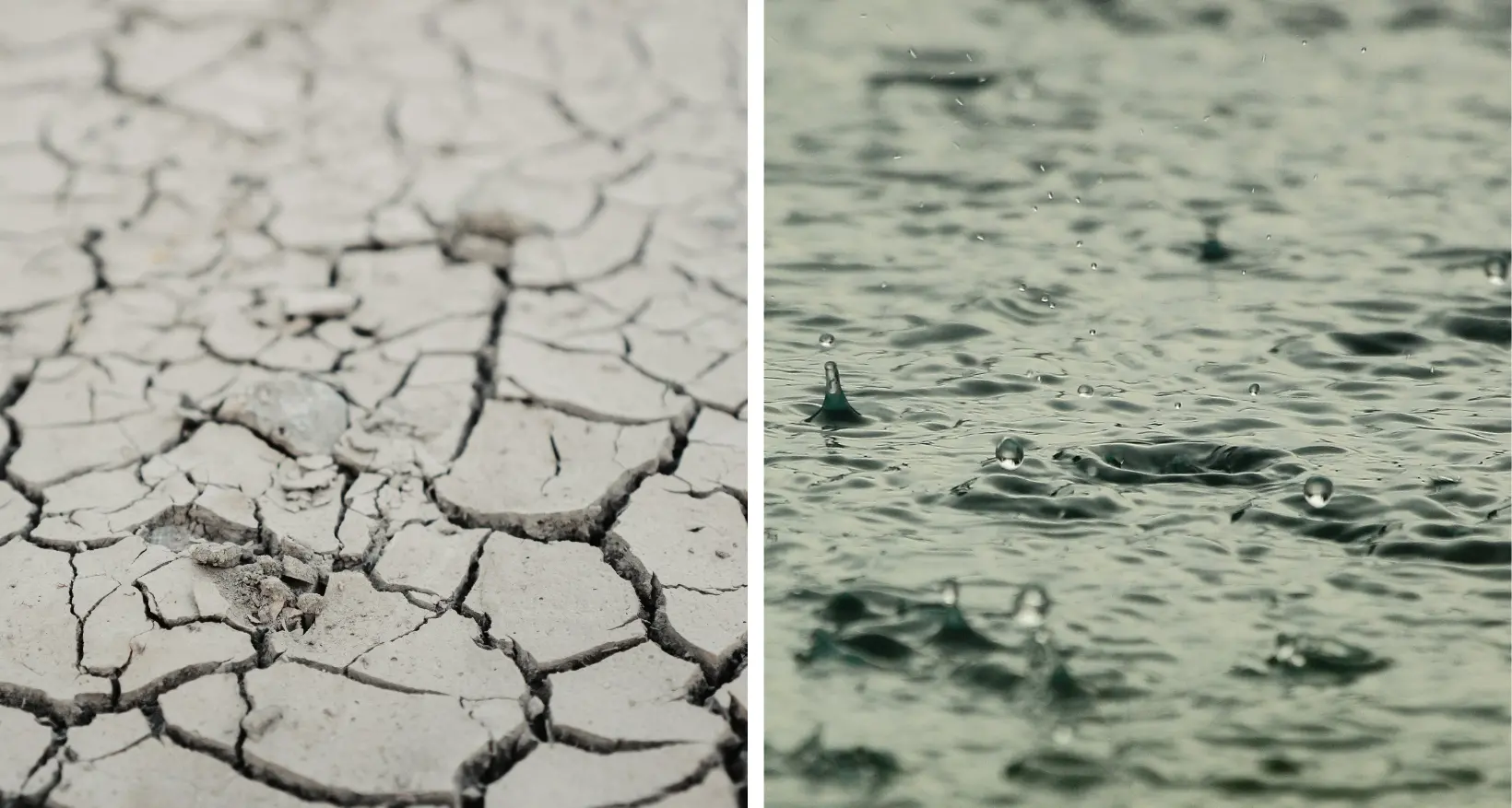 Il 2025 in Calabria anno siccitoso e tra i più caldi, ma il 2026 inverte la tendenza: il report dell’Arpacal\n