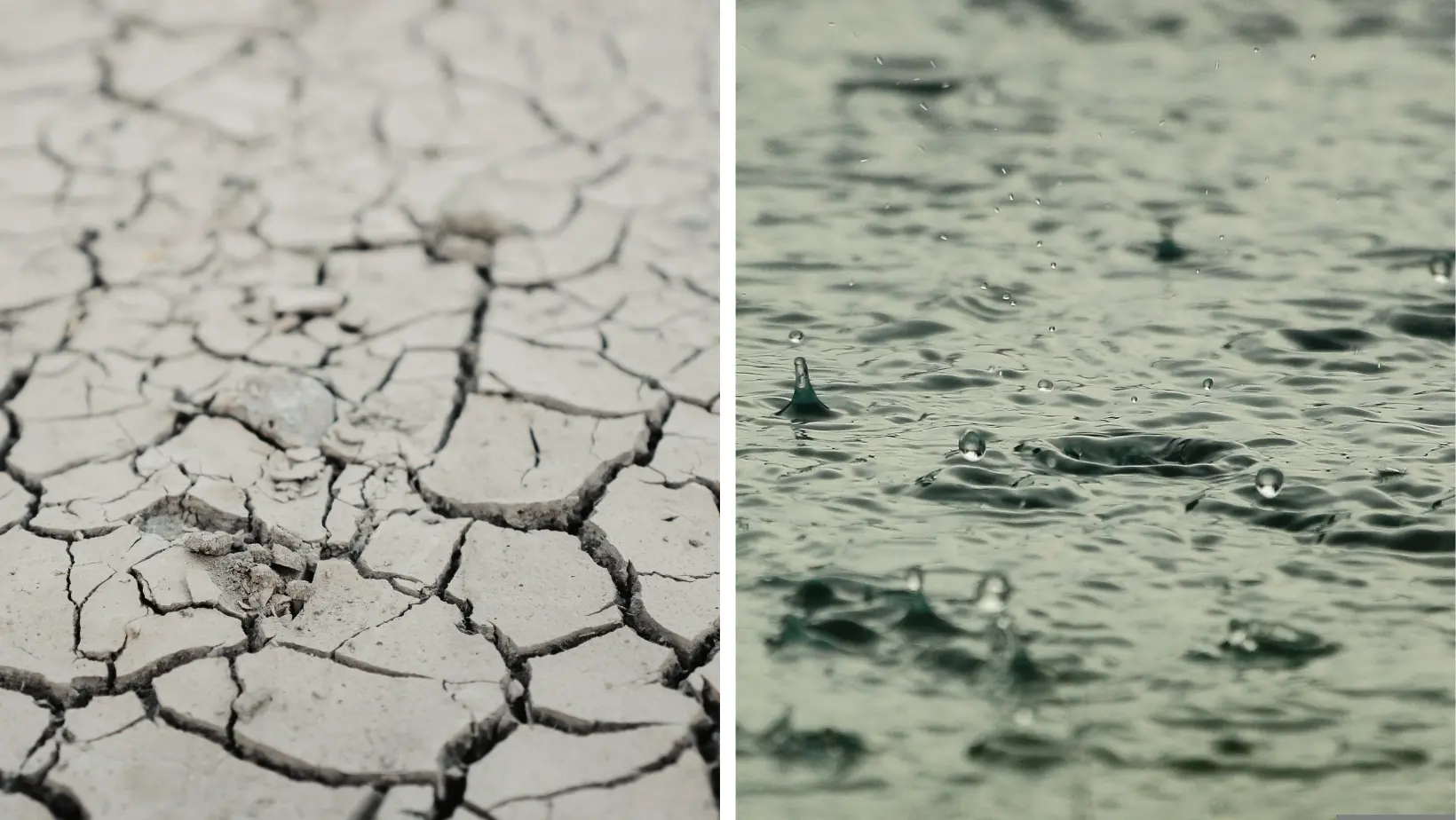 Il 2025 in Calabria anno siccitoso e tra i più caldi, ma il 2026 inverte la tendenza: il report dell’Arpacal\n