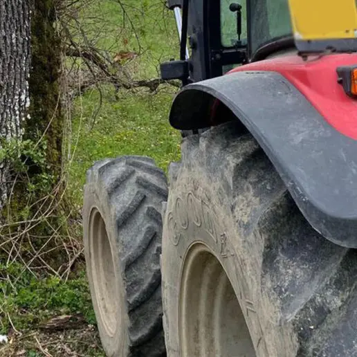 <p>Bambina di 5 anni muore<span style=\"color:hsl(0,75%,60%);\"> </span>travolta dal trattore del padre, tragedia a Polistena</p>