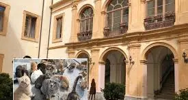 Vicenda gatti restituiti, Veraldi: «Ennesimo fallimento dell’amministrazione Fiorita»