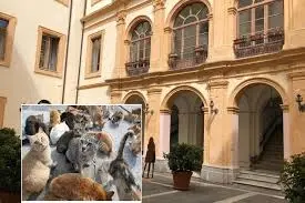 Vicenda gatti restituiti, Veraldi: «Ennesimo fallimento dell’amministrazione Fiorita»