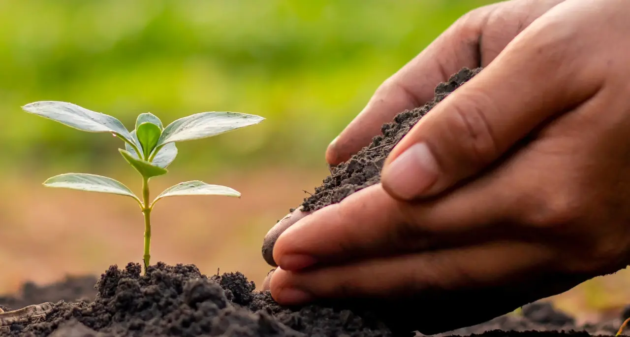 “Semi di legalità” arriva anche a Vibo, al Teatro comunale\u00A0300 studenti a confronto con istituzioni e forze dell’ordine\n