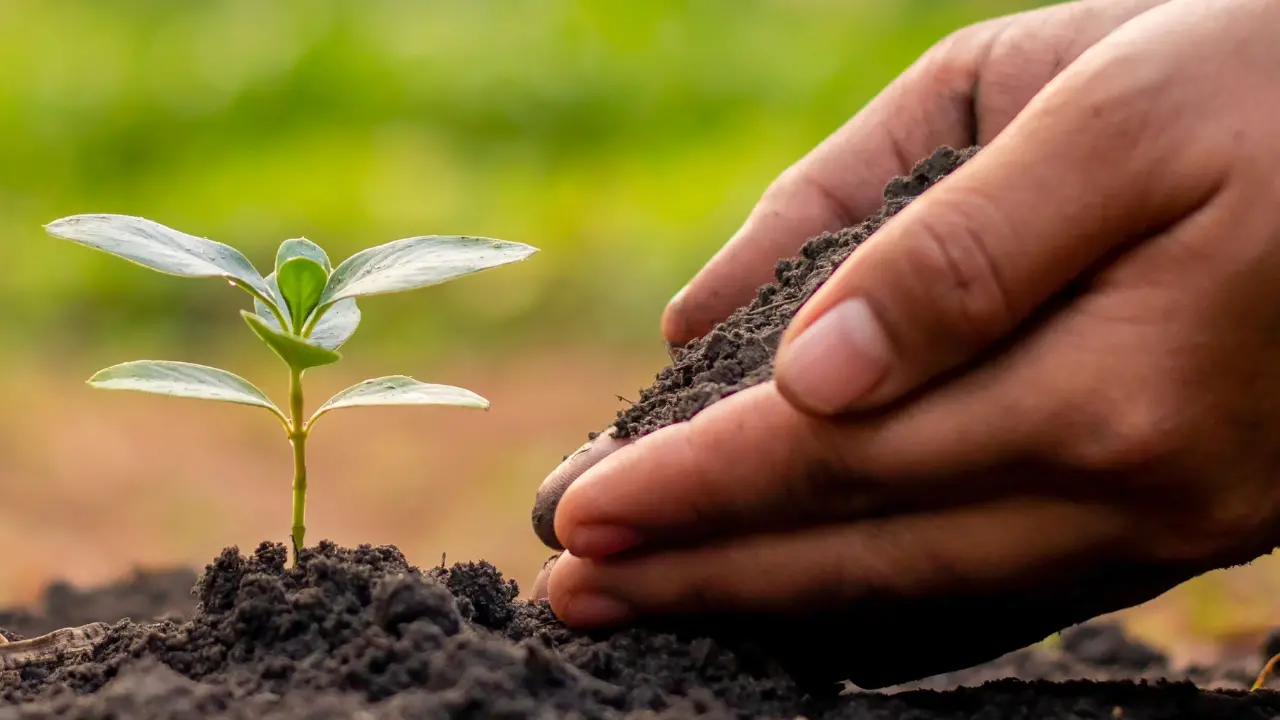 “Semi di legalità” arriva anche a Vibo, al Teatro comunale\u00A0300 studenti a confronto con istituzioni e forze dell’ordine\n