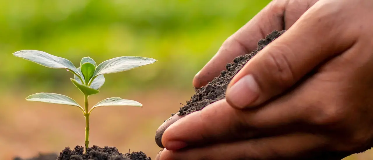 “Semi di legalità” arriva anche a Vibo, al Teatro comunale\u00A0300 studenti a confronto con istituzioni e forze dell’ordine\n