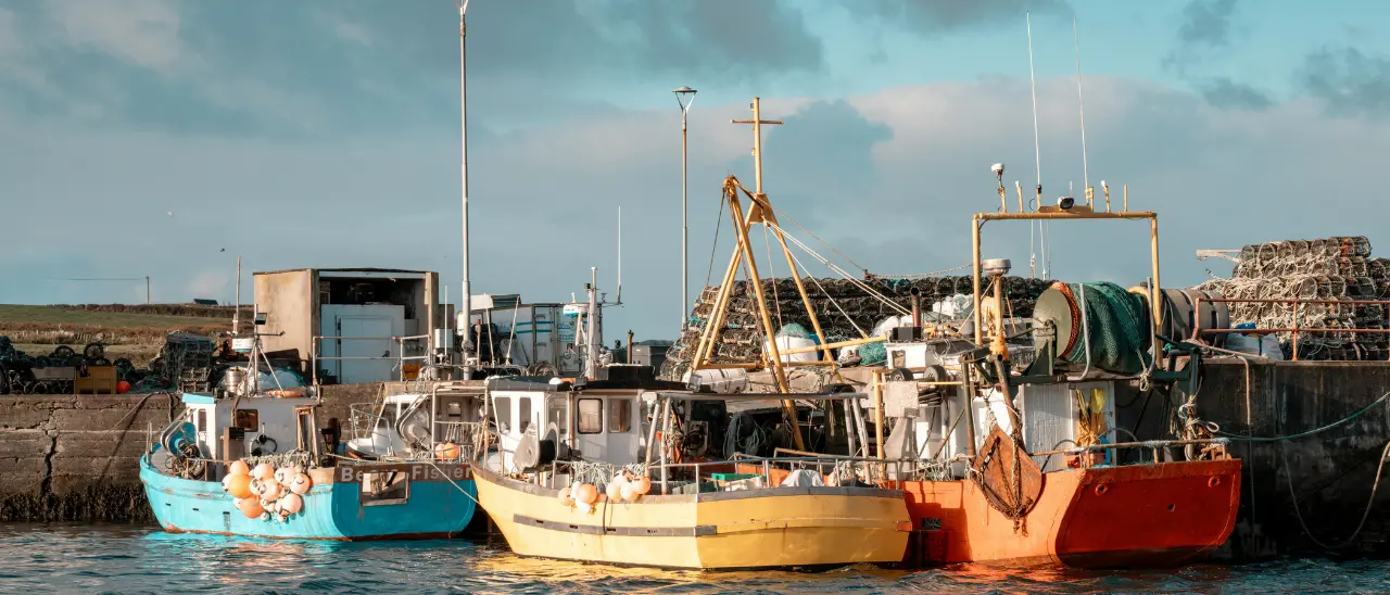 Quote tonno e bonus carburanti: alla Tonnara di Bivona il convegno regionale promosso da Agripesca\n