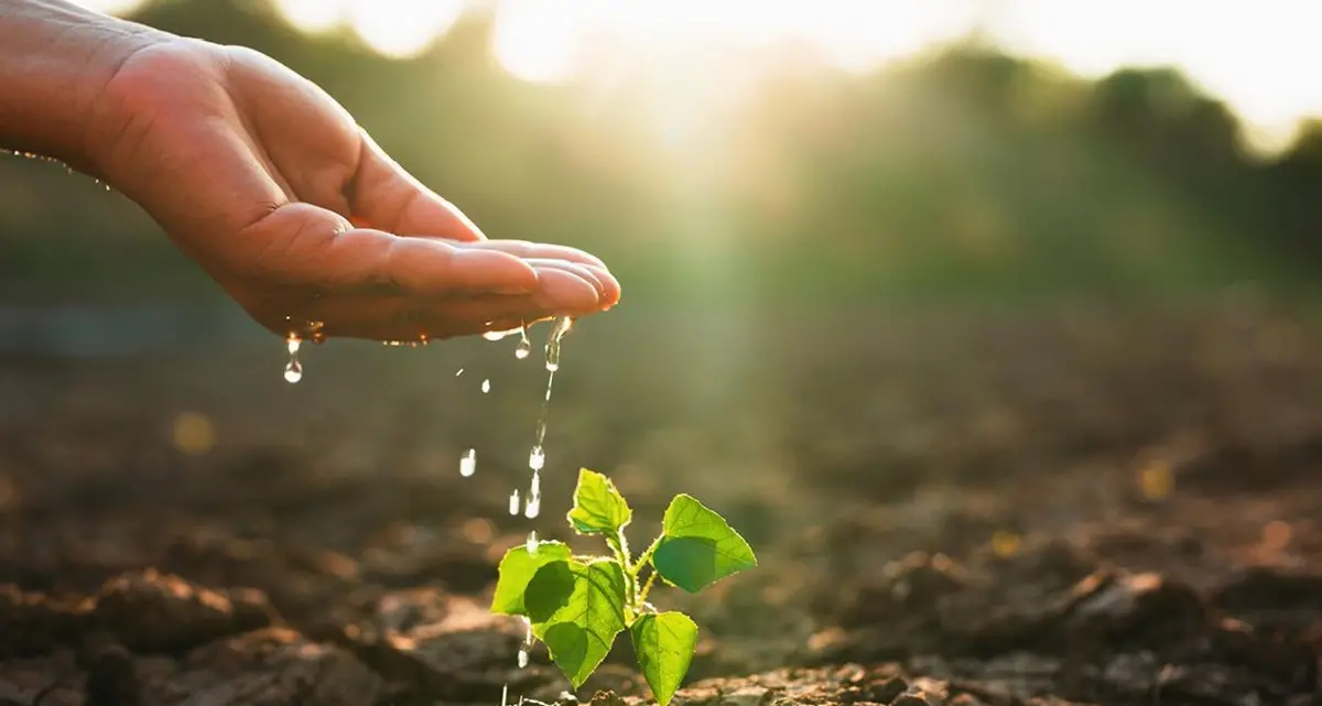 Comparto Ortofrutticolo e delle Tecnologie Agricole, Siciliafiera e Cesena Fiera siglano un’intesa\n