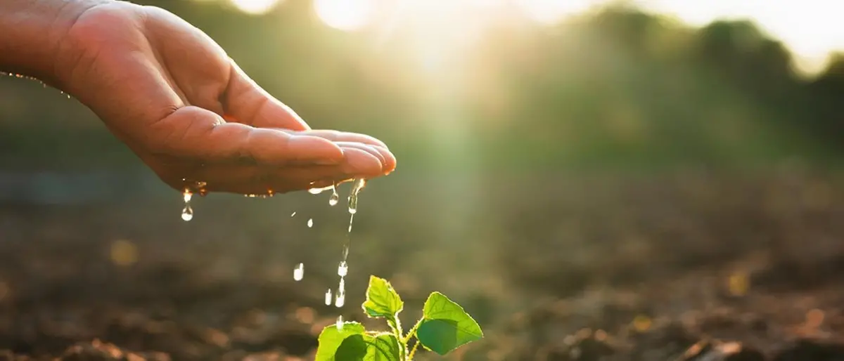 Comparto Ortofrutticolo e delle Tecnologie Agricole, Siciliafiera e Cesena Fiera siglano un’intesa\n