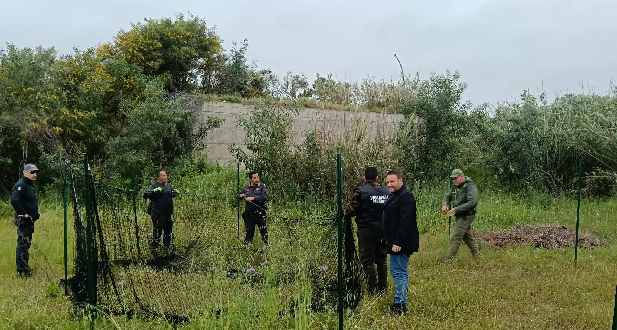 Emergenza cinghiali a Siderno, le azioni messe in campo dall'Amministrazione Comunale\n