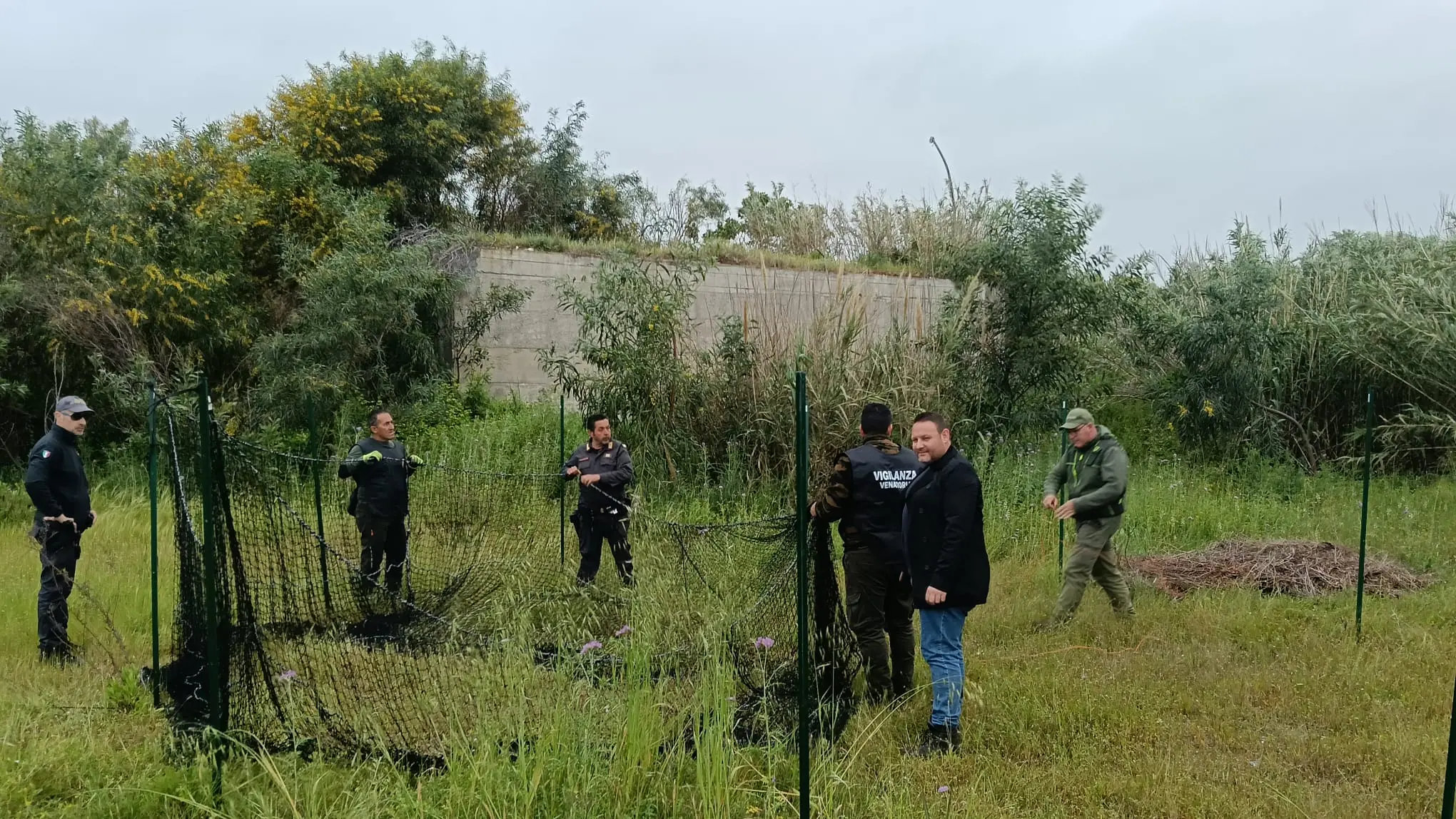 Emergenza cinghiali a Siderno, le azioni messe in campo dall'Amministrazione Comunale\n