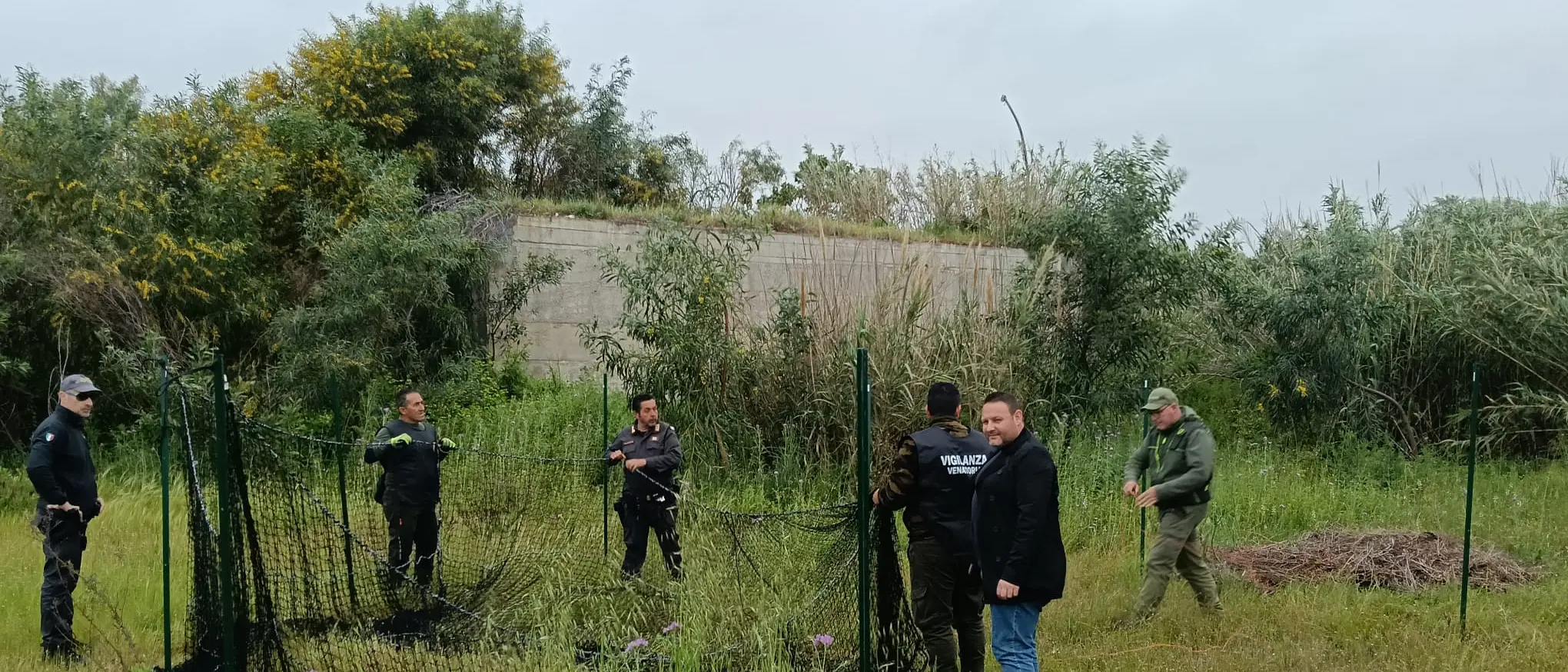 Emergenza cinghiali a Siderno, le azioni messe in campo dall'Amministrazione Comunale\n