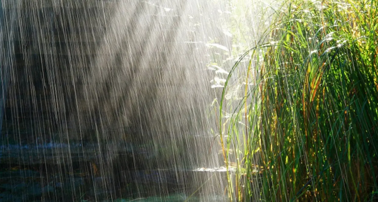 Un 2025 di siccità e caldo mentre nel 2026 pioggia sopra la media annuale: il report Arpacal sul clima altalenante in Calabria\n\n\n