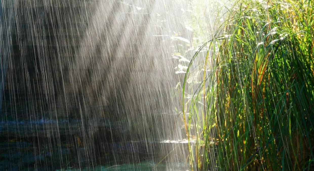 Un 2025 di siccità e caldo mentre nel 2026 pioggia sopra la media annuale: il report Arpacal sul clima altalenante in Calabria\n\n\n