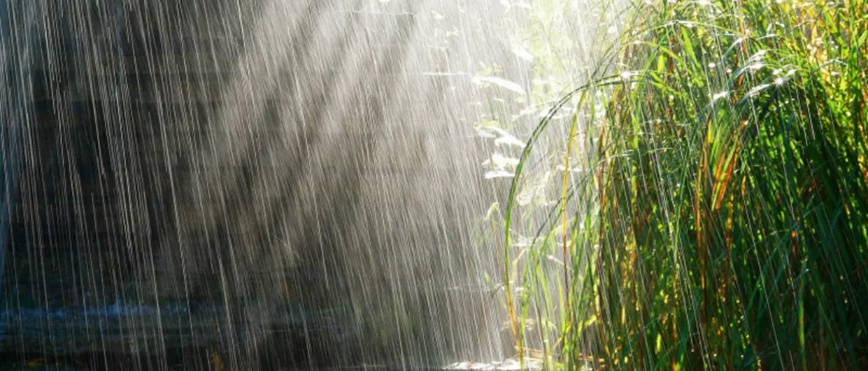 Un 2025 di siccità e caldo mentre nel 2026 pioggia sopra la media annuale: il report Arpacal sul clima altalenante in Calabria\n\n\n