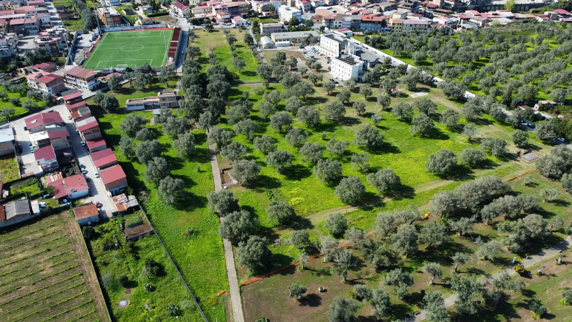 Il Consiglio metropolitano approva la convenzione per la gestione e la valorizzazione del Museo e del Parco dell’antica Medma\n