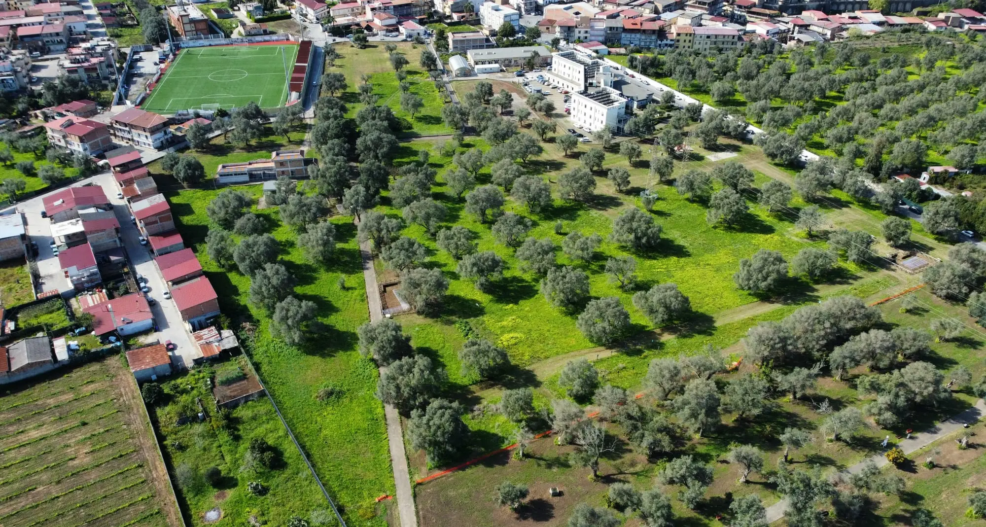 Il Consiglio metropolitano approva la convenzione per la gestione e la valorizzazione del Museo e del Parco dell’antica Medma\n