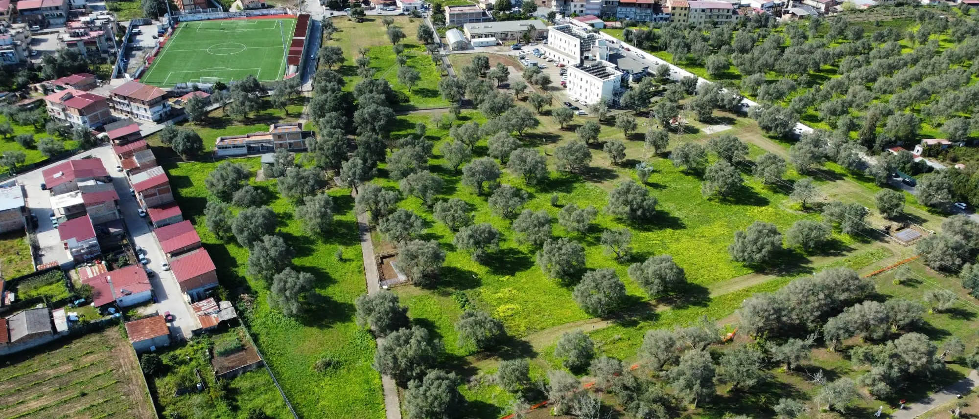 Il Consiglio metropolitano approva la convenzione per la gestione e la valorizzazione del Museo e del Parco dell’antica Medma\n