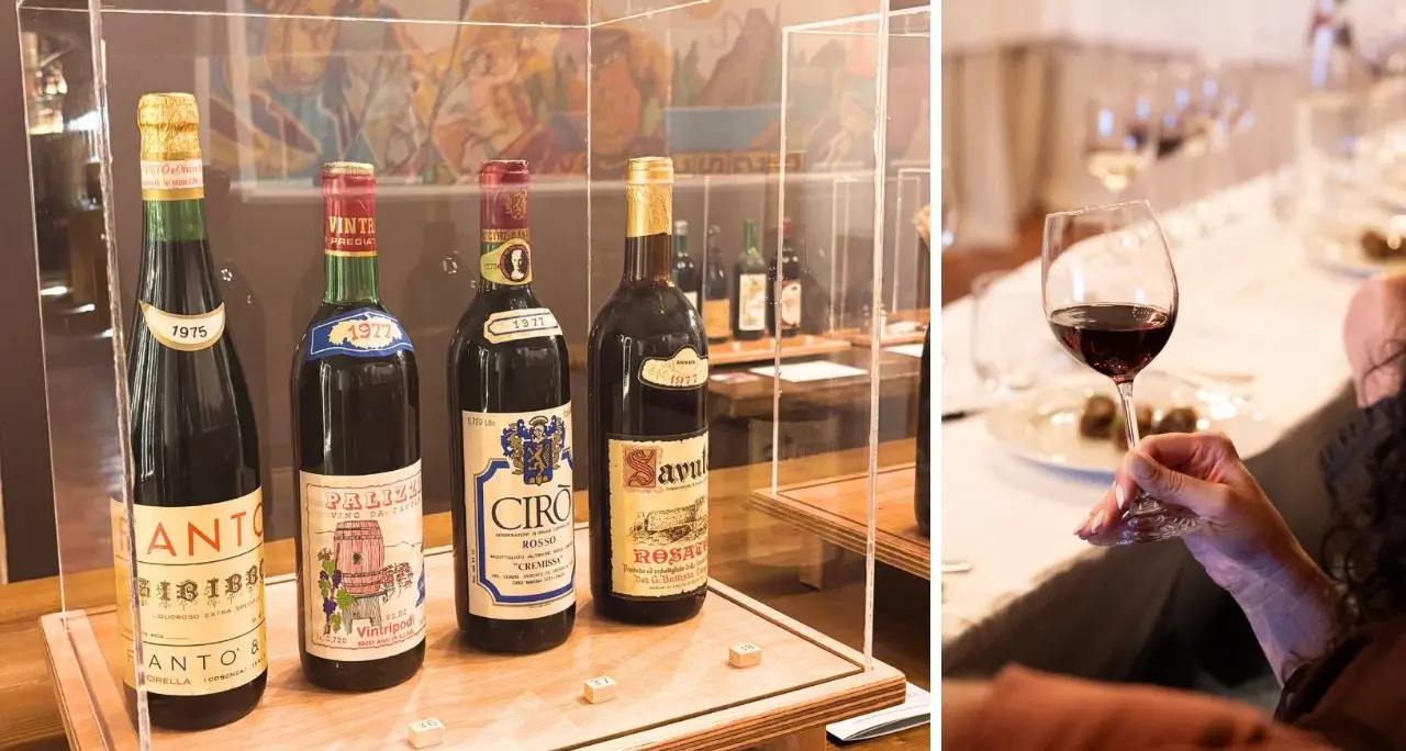 Da Scilla al Vinitaly 26: il ministro Giuli in visita alla collezione di antiche bottiglie recuperate da Calabria Wild Wine\n