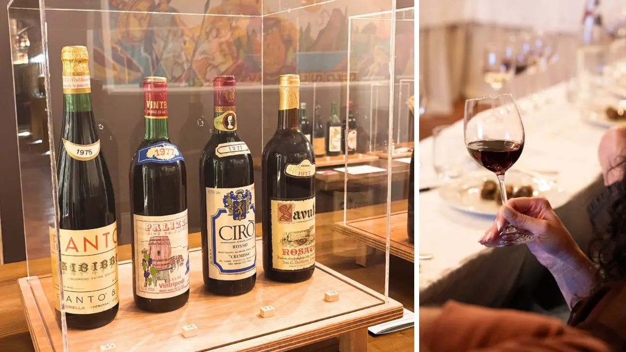 Da Scilla al Vinitaly 26: il ministro Giuli in visita alla collezione di antiche bottiglie recuperate da Calabria Wild Wine\n