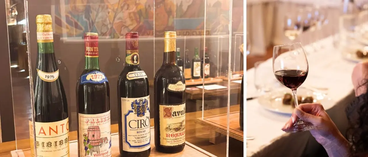 Da Scilla al Vinitaly 26: il ministro Giuli in visita alla collezione di antiche bottiglie recuperate da Calabria Wild Wine\n