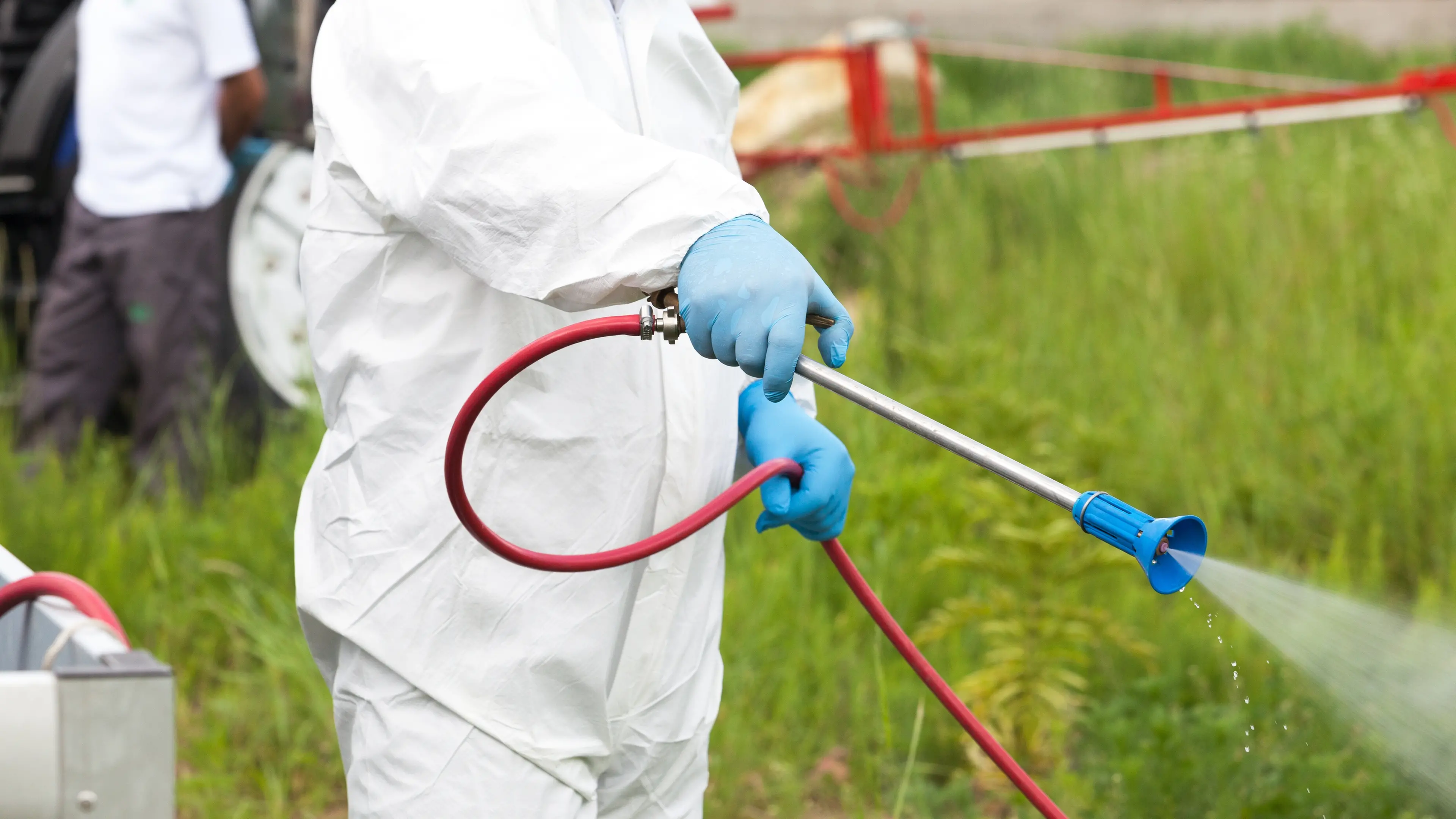 Man spraying insects outdoors. Pest control. , wellphoto - stock.adobe.com