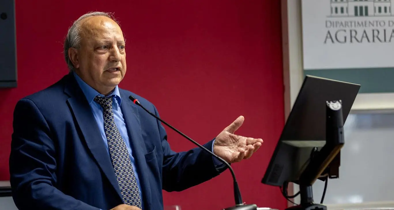 Reggio, la Fondazione Mediterranea spegne 20 candeline\n