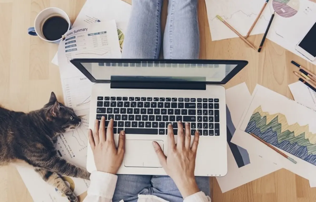 Smart working obbligatorio e riscaldamenti ridotti: il piano Ue per tagliare i consumi\n