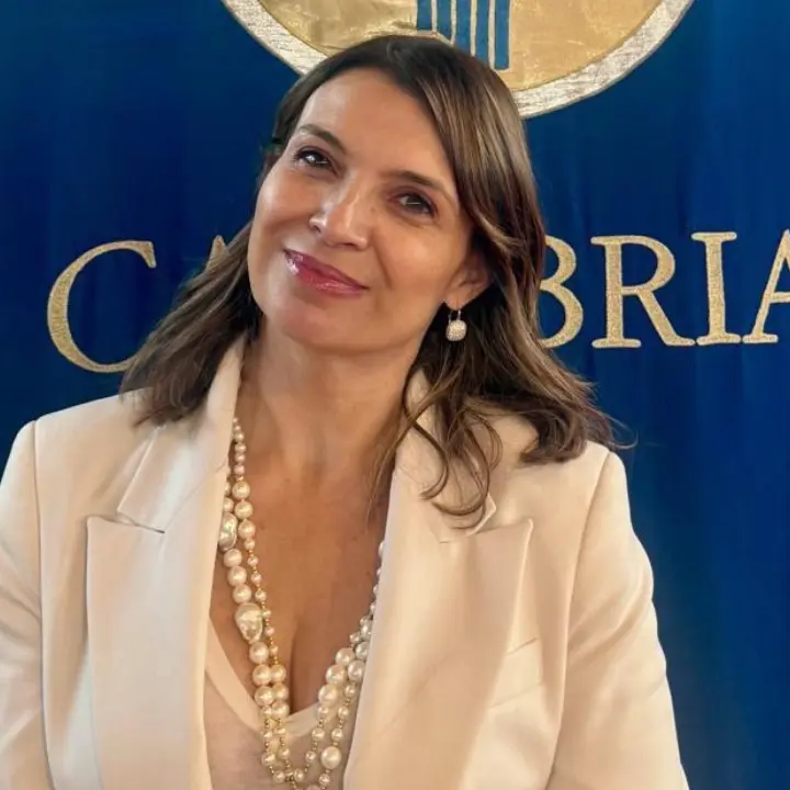 Nodo di Tarsia cancellato e Casa di comunità persa, Madeo (Pd): «Scelte gravi della Regione che penalizzano i cittadini»\n