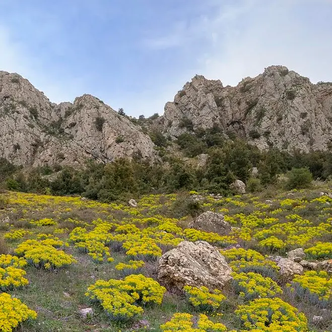 Gente in Aspromonte, domani escursione ai piani di Rufo\n
