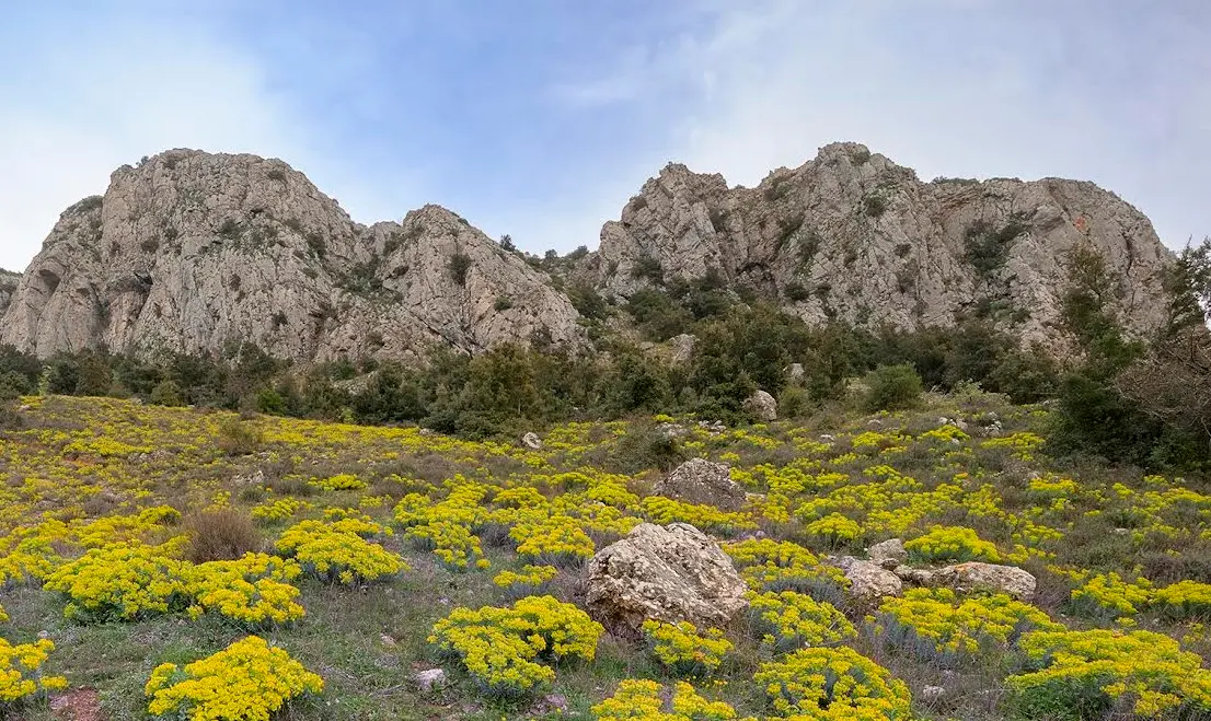 Gente in Aspromonte, domani escursione ai piani di Rufo\n