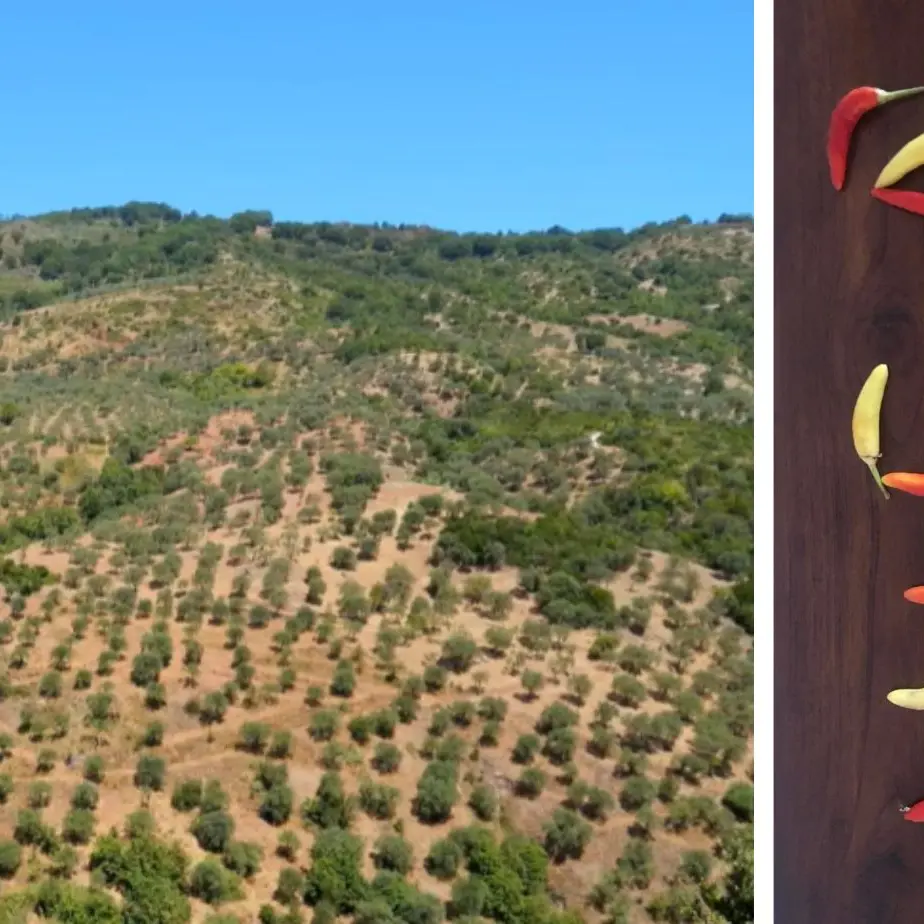 Legambiente lancia la Riserva naturale della Biovalle del Nicà e chiama a raccolta i sindaci dell’area\n