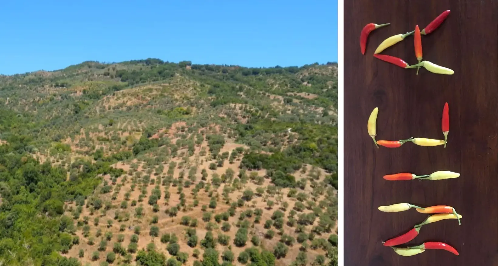 Legambiente lancia la Riserva naturale della Biovalle del Nicà e chiama a raccolta i sindaci dell’area\n