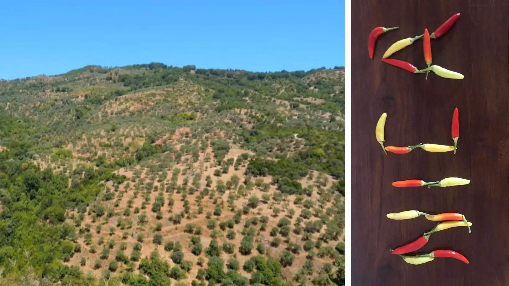 Legambiente lancia la Riserva naturale della Biovalle del Nicà e chiama a raccolta i sindaci dell’area\n