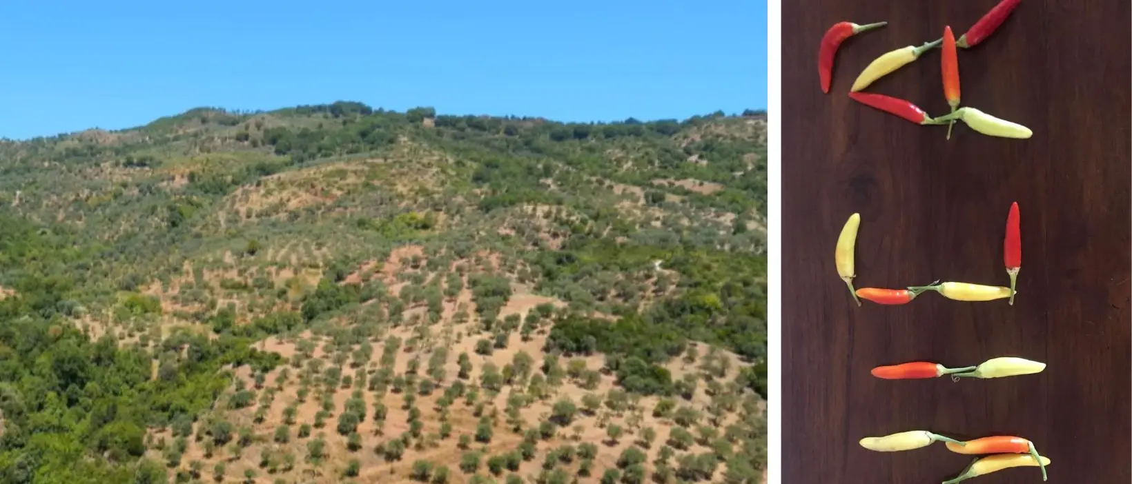 Legambiente lancia la Riserva naturale della Biovalle del Nicà e chiama a raccolta i sindaci dell’area\n